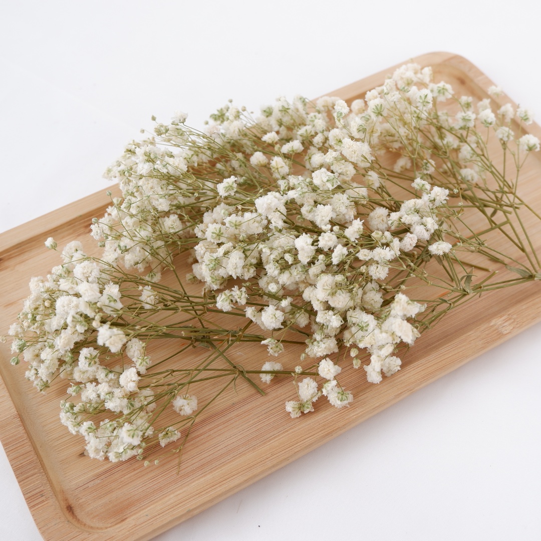 زهور مجففة بيضاء صغيرة مجففة ل - مراجعة Flower Girl Basket وسعره