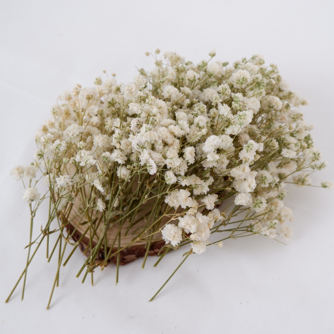 زهور مجففة بيضاء صغيرة مجففة ل - مراجعة Flower Girl Basket وسعره