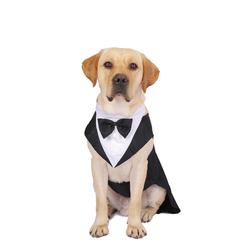 كلب الملابس موضة عرض الحفلات ب - مراجعة Suit Supply Wedding Party وسعره