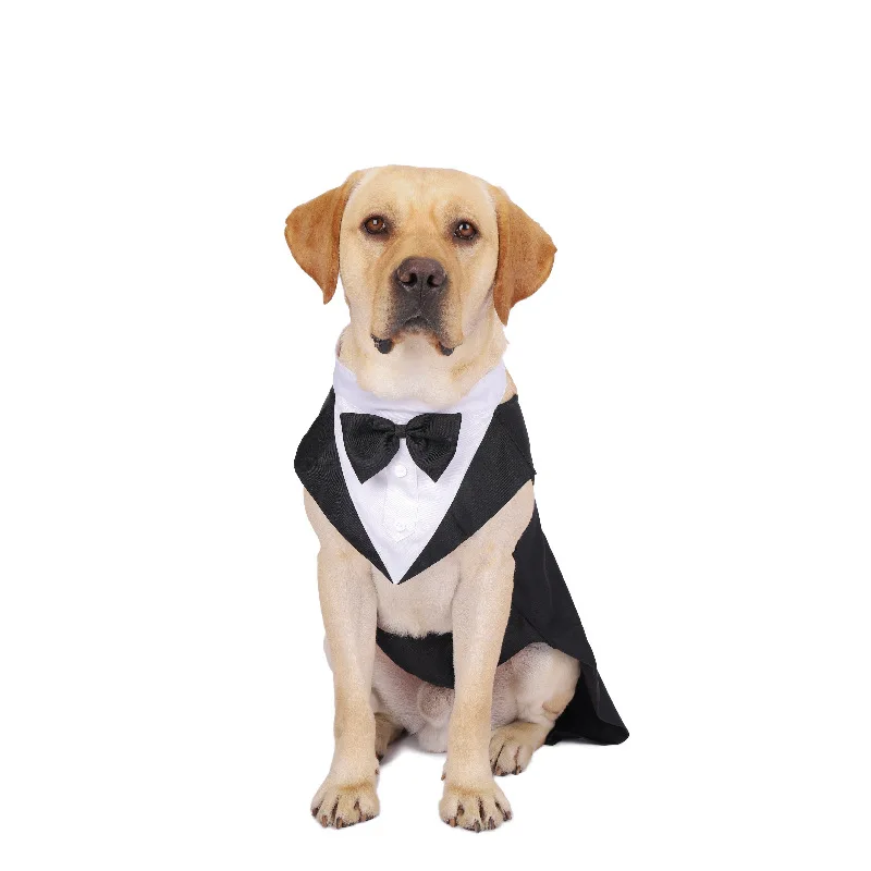 كلب الملابس موضة عرض الحفلات ب - مراجعة Suit Supply Wedding Party وسعره